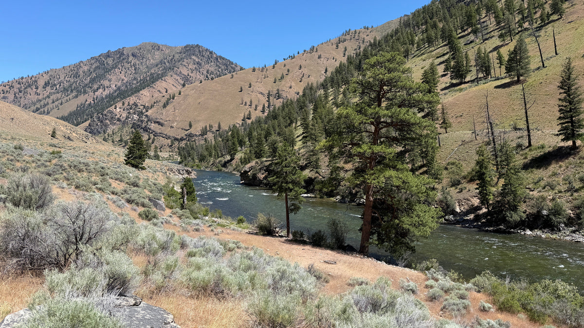 Protecting the Water We Fish: Conservation Without the Politics